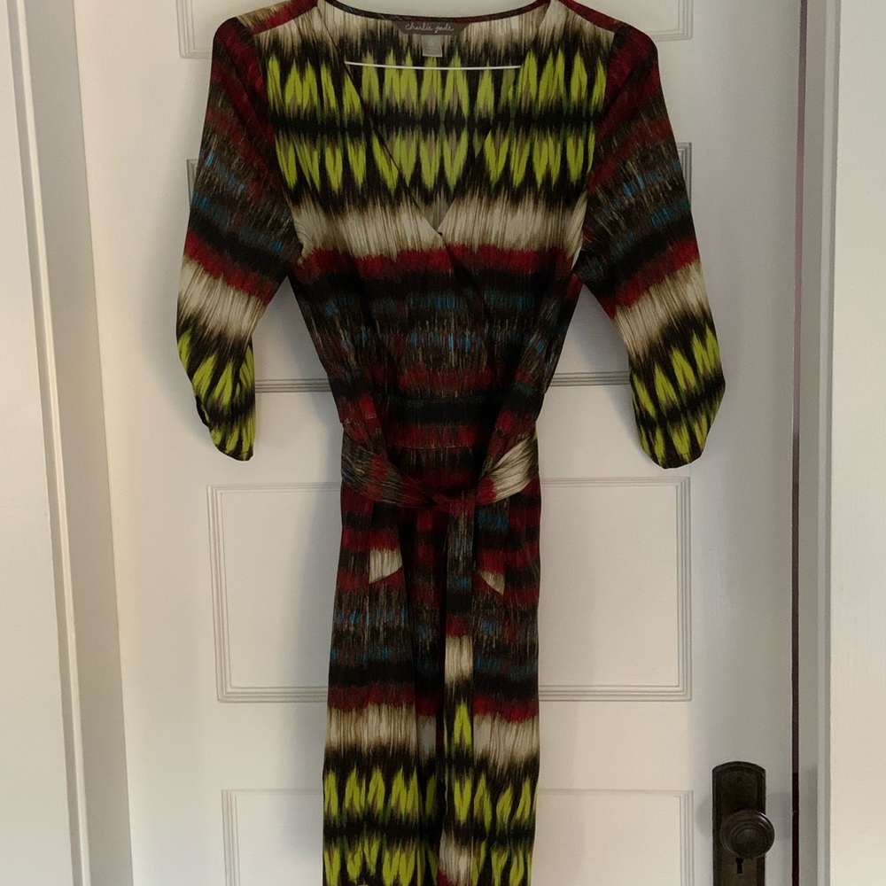 Charlie Jade: size medium ikat dress